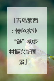 青岛莱西：特色农业“链”动乡村振兴新图景